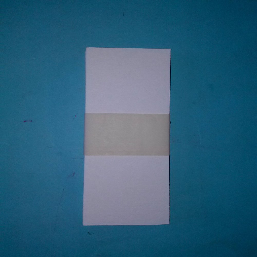 Arthur Brown Blotting Paper (6" x 2 1/4")