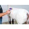 Weaver Leather Livestock Brightening Shampoo, 1-Quart view 2