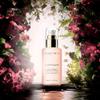 ALCHEMY BUST FIRMING OIL OIL 100ML view 3