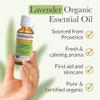 Pranarom USDA Certified Organic Lavender Essential Oil (30ml), 100% Pure Undiluted Therapeutic Grade from French Alps for Aromatherapy, Diffuser, Healthy Skin & Hair, Massage, Relaxation view 3