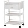 Buy-Rite Jenny Trolley Cart - 3-Tier Rolling Utility Cart for Spas, Estheticians & Salons, White Wood Organizer with Drawer, Open Shelves, Post Holes & Smooth Casters - Model TS-4205 view 1