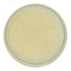 The Soap Exchange Sea Salt Body Scrub - Unscented Fragrance Free - Hand Crafted 8 fl oz / 240 ml Natural Artisan Skin Care, Shea Butter, Exfoliate, Moisturize, & Protect. Made in the USA. view 2