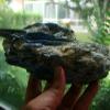 Flo8709 Jumbo Size Blue Kyanite Blades in Quartz view 3