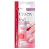EVELINE - COLORFUL NAIL CONDITIONER CARE & COLOUR NAIL 6 IN 1 - ROSE - 5ml by Eveline view 1