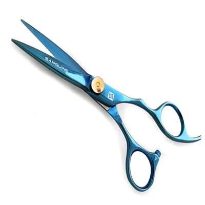 400D Professional Hair Scissors, Hair Cutting Scissors for Hairdressers and Barbers - 5.75 inch, Presentation Case