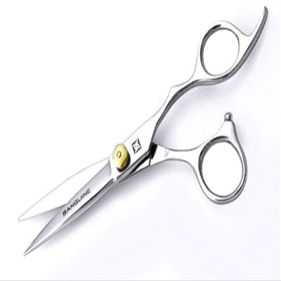 400D Professional Hair Scissors, Hair Cutting Scissors for Hairdressers and Barbers - 5.75 inch, Presentation Case