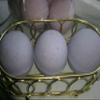 3 Lavender Luxury Bath Bombs, Large 5 oz Each, Handmade with Shea, Mango & Cocoa Butter, Ultra Moisturizing, Individually Hand Wrapped, Great for Dry Skin, All Skin Types. view 3