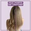Alcve - Violet Shampoo & Conditioner Duo - Blonde and Colored Hair - Sulfate-Free - Neutralize Yellow and Brassy Tones - Evening Primrose Oil - Mango Extract - Argan Oil - Color-Safe - 10oz view 2