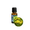 15ml (1/2oz) Helichrysum Essential Oil (Helichrysum Italicum) - Pure, Undiluted, Uncut view 1
