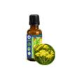 30ml (1oz) Helichrysum Essential Oil (Helichrysum Italicum) - Pure, Undiluted, Uncut view 1