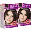 Vegetal Bio Hair Colour Burgundy (50gm x Pack of 2) Natural Hair Dye view 1