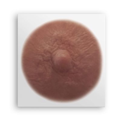 TataTattoos Temporary Realistic Nipple/Areola Tattoos  Non-Surgical for Mastectomy Recovery  for Post Breast Cancer Surgery (Olive, Medium (Pack of 10))