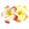 2 PCS Set of 7cm Hawaiian Frangipani Plumeria Foam Head Flower Beach Hair Clip (Yellow + Red) view 1