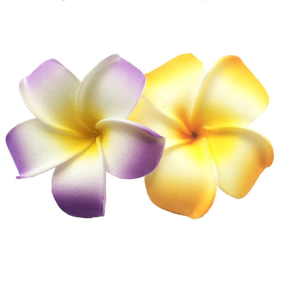 2 PCS Set of 7cm Hawaiian Frangipani Plumeria Foam Head Flower Beach Hair Clip (Yellow + Violet)