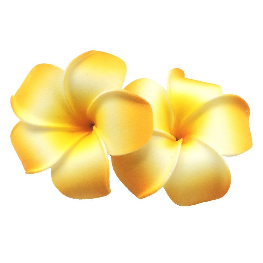 2 PCS Set of 7cm Hawaiian Frangipani Plumeria Foam Head Flower Beach Hair Clip (Yellow 2PCS)
