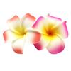 2 PCS Set of 7cm Hawaiian Frangipani Plumeria Foam Head Flower Beach Hair Clip (Fuchsia + Red) view 1