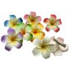 2 PCS Set of 7cm Hawaiian Frangipani Plumeria Foam Head Flower Beach Hair Clip (Fuchsia + Green) view 3