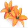 Double 3.5" Tropical Orange Lily Silk Flower Hair Comb view 1