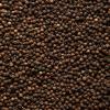 Black Pepper Shampoo & Conditioner view 3