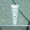 Liz Earle Cleanse & Polish Face Wash - Gentle Facial Cleanser with Moisturizing & Calming Ingredients - Boosts Hydration and Reveals Instant Radiance (200ml) view 2
