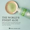 Aruba Aloe Pure Aloe Vera Gel  Soothes, Hydrates, and Refreshes Skin  8.5 Oz Bottle view 2