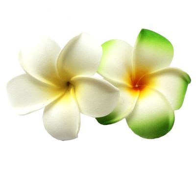 2 PCS 7cm Hawaiian Frangipani Plumeria Foam Head Flower Party Beach Hair Clip (White + Green)