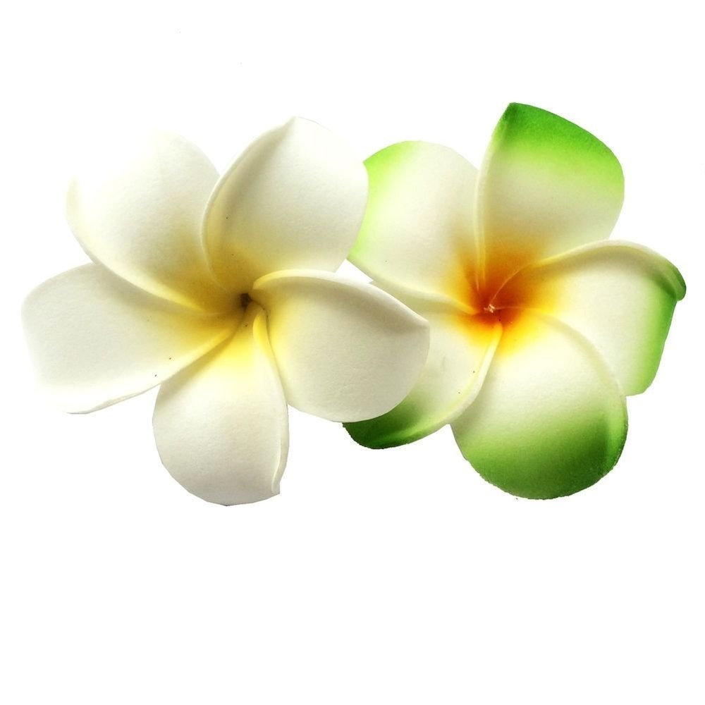 2 PCS 7cm Hawaiian Frangipani Plumeria Foam Head Flower Party Beach Hair Clip (White + Green)