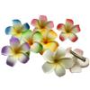 2 PCS 7cm Hawaiian Frangipani Plumeria Foam Head Flower Party Beach Hair Clip (Orange + Green) view 2