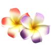 2 PCS 7cm Hawaiian Frangipani Plumeria Foam Head Flower Party Beach Hair Clip (Violet + Red) view 1
