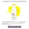 ALEA - Damaged Hair Conditioner - Damaged Hair Line - 500 ml - with Silk Proteins and Argan Oil - Sulfate and Paraben-Free - Restores Hair Vitality view 2