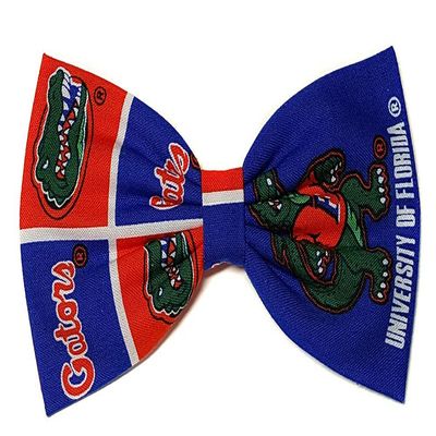 Sports Themes Hair Bow Collection (Headband, UF Gators/Blue)