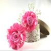 Baby-Girls Harmonic Bow Hair Clip Accessories, Barrettes ( Pack of 2) view 1