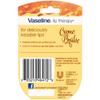 Vaseline Lip Therapy Creme Brulee Mini 4-Pack  Moisturizing Balm for Soft, Smooth Lips, 0.25 Oz Ea view 2