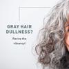 Just Nutritive Gray Hair Shampoo | Gray Hair Treatment | Just Natural Hair Care | Natural Shampoo 16 Oz view 2