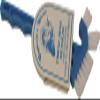 Captain's Choice Detail Scrub Brush Triple Head view 1