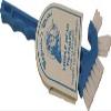 Captain's Choice Detail Scrub Brush Triple Head view 2