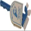 Captain's Choice Detail Scrub Brush Triple Head view 3