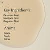 Aesop Geranium Leaf Body Cleanser & Balm Holiday Gift Set | Citrus & Fresh Duo to Cleanse and Hydrate Skin | Geranium Leaf, Mandarin Rind, Bergamot Rind | 16.9 oz / 500mL (Set of 2) view 4