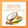 Cantu Deep Treatment Masque with Shea Butter for Natural Hair, 12 oz view 4