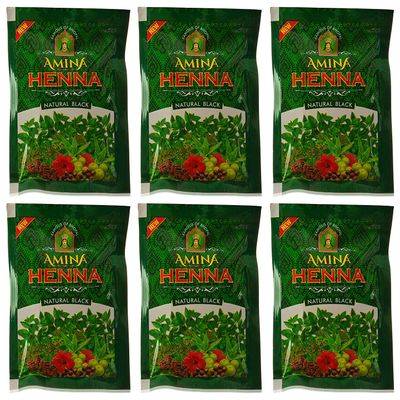 Amina Henna Natural Black Hair Colour Heena Mehndi, 25 g (Pack of 6)