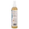 Morningstar Minerals Derma Boost, Rejuvenating Spray Mist, 8 fl oz view 2