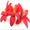 Triple 3.5" Red Lily Silk Flower Hair Comb view 3