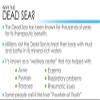 Canaan Cosmetics Dead Sea Minerals Eye Cream with, Vitamin E, Vitamin C, Magnesium, CSE Complex & Dead Sea Salt view 4