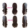 Remeehi 3/4 Half Wig Brazilian Remy Human Hair Wigs Body Wave Clip in None Lace Half Wig(18" 180g 14#) view 3