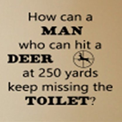 customized bathroom decal
