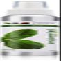 EDEN BodyWorks Peppermint Tea Tree Hair Oil, 4 oz by Eden Bodyworks