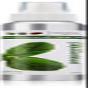 EDEN BodyWorks Peppermint Tea Tree Hair Oil, 4 oz by Eden Bodyworks view 1