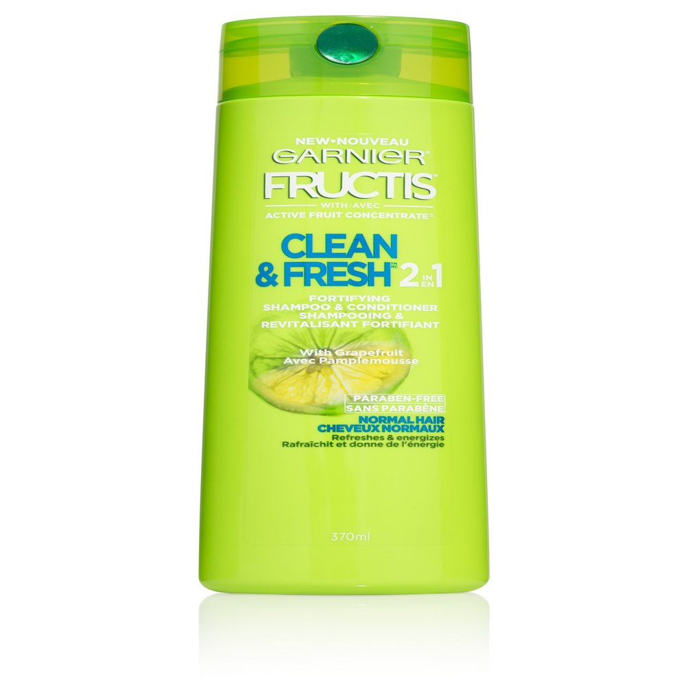 Garnier Hair Care Fructis Daily Care 2-in-1 Shampoo and Conditioner, 12.5Fl Oz