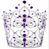 #16111 - Maus Spray Crown - Amethyst - 10" view 1