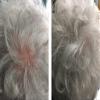 Caboki Hair Building Fiber, Hair Concealer Travel Size (8-14 Days Supply). Silver/White view 4